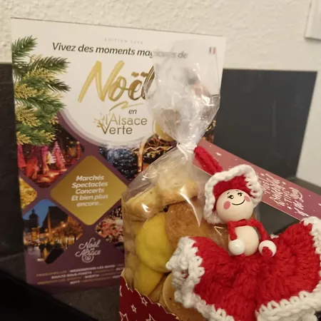 Cosy En Plein Centre Apartamento Niederbronn-les-Bains